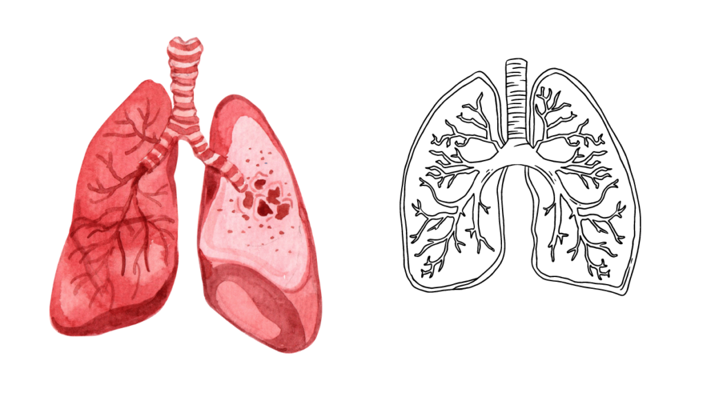 Decongestants Their Role in Reducing Mucus