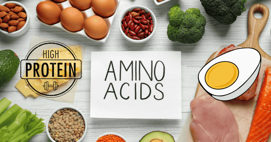 Protein and Amino Acids